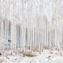 인제02-2 이미지