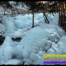 금원산 자연휴양림 이미지