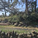 미듬부동산공인중개사사무소 이미지