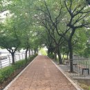 하천(안양대교) | ♤안양천상류코스 걷기(독산역-관악역-안양역)