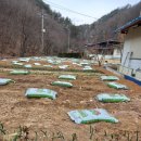 자명농장 이미지