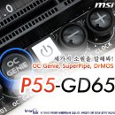 라인업의 경계를 허물어버리는 MSI P55-GD65 이미지