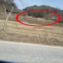 토마토1공인중개사사무소 이미지