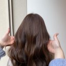 메르시(merci beauty)