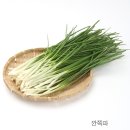 낙지하우스 이미지