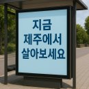 펫마트남원점 | 제주도 한달살기, 30대라면 더 진지하게 고민해봐야 하는 이유