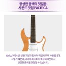 112 | 일렉기타 입문 뭐 살지 고민될 때 🎸 야마하 퍼시피카 PAC112J 추천 후기