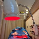 왕쑥뜸 | 광화문 임신준비, 생리통 완화 왕쑥뜸 '통인한의원' 후기