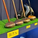 파크골프(중급) 이미지