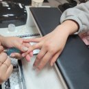 진헤어도로시