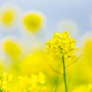 호두나무한의원 이미지