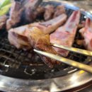 호랑이양갈비창원