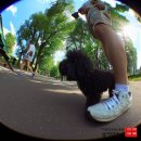 헬스트롱 | 남성 건강의 새로운 해법, 헬스트롱 블랙마카 &amp; 아르기닌 솔직 후기