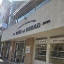 4426 | 염창역 카이막소금빵, 두바이 에그타르트 맛집 '빵의시간 목동본점' 홀에서 먹은 내돈내산 추천 후기