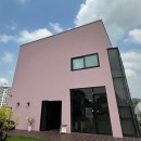 눈이부시개 이미지