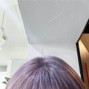 작은설렘