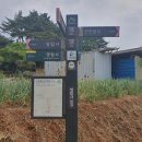 내포 문화숲길 내포 불교순례길 7코스 이미지