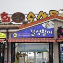 갈성활어