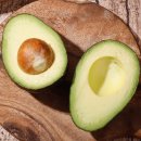 아보카도 이미지