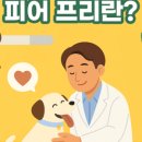 아떼꼬떼 동물병원 이미지