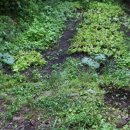 이정복농장 이미지