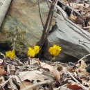 찬물내기 이미지