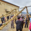 의령큰줄땡기기 이미지