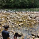 평창로그하우스 이미지