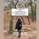 휴앤탐(휴N탐) | 2R(순연) vs울산/ 평일에 회사 째고 축구 보러 울산 가는 #mood