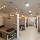 강한정형외과의원 이미지