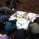 괴목민박 이미지