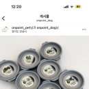 취향저견 이미지