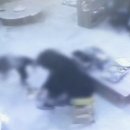 진실어린이집 이미지