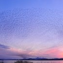 오리당구장 이미지