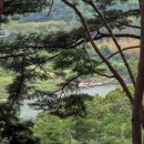 섬지캠핑장 이미지