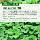 토박이몰