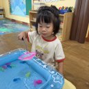 🐠뜰채로 물고기를 낚아요🐠 이미지