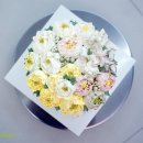 데조로스튜디오