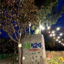 소풍524