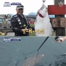 도시어부 이미지