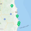 후포리건어물 이미지
