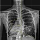 밸런스EM의원 이미지