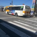 쌍송배기 버스정류장 이미지