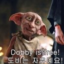 백수어린이집 이미지