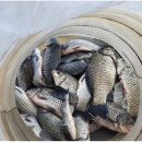 삼성지낚시터 이미지