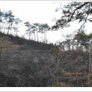 북일면사무소 이미지