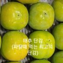 삼태산 농장 이미지