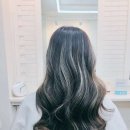 헤어리나 이미지
