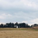 앙팡목장 이미지