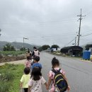 RE : 6/26 논살림 - 어깨너머 논살림 이미지